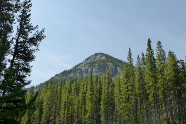 Mountain view next to the campsite