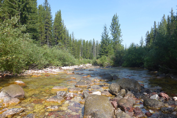 Beautiful cold creek next to the campsite. I even managed a 'shower' laying down in a deep spot.