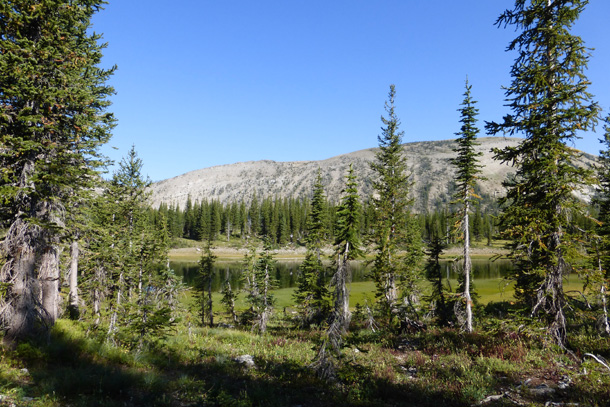View of the lake from the campsite