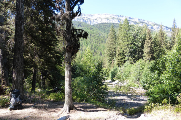 Campsite next to Dean Creek