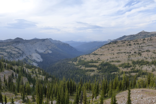 Looking north toward Glacier National Park 